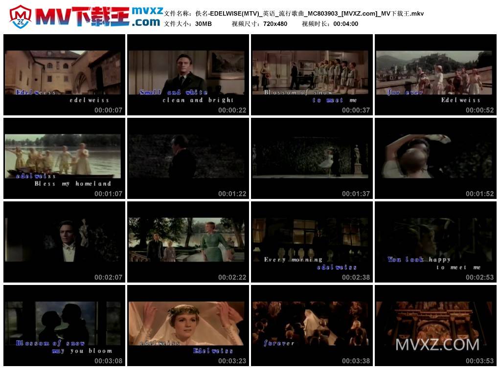 佚名-EDELWISE(MTV)_英语_流行歌曲_MC803903